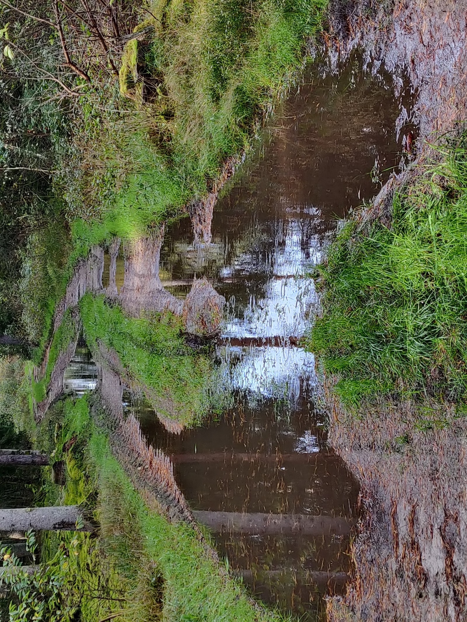 2023 10 16 Kontrollfahrt Kartoffelweg 32