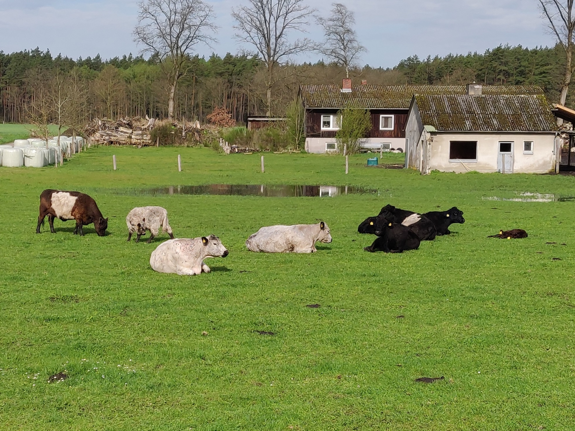 2024 04 06 Sauberes Dorf 025