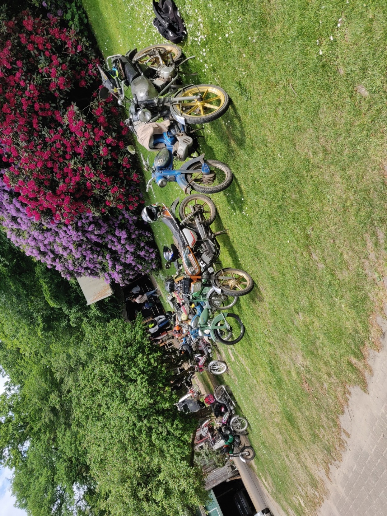2024 05 18 Kleine Kennzeicheichen Treff 018