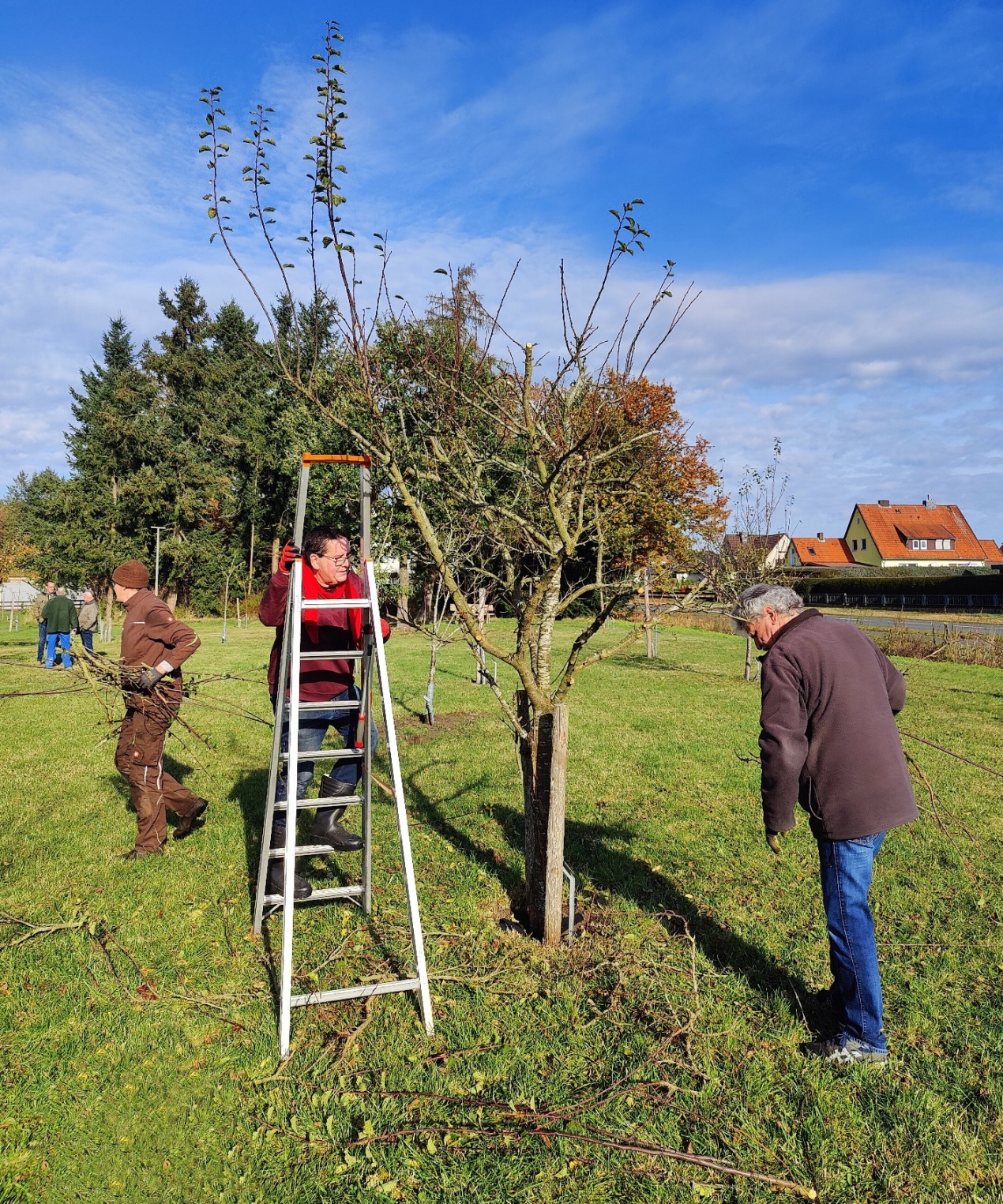 2024 10 26 Herbst Streuobstwiese 03
