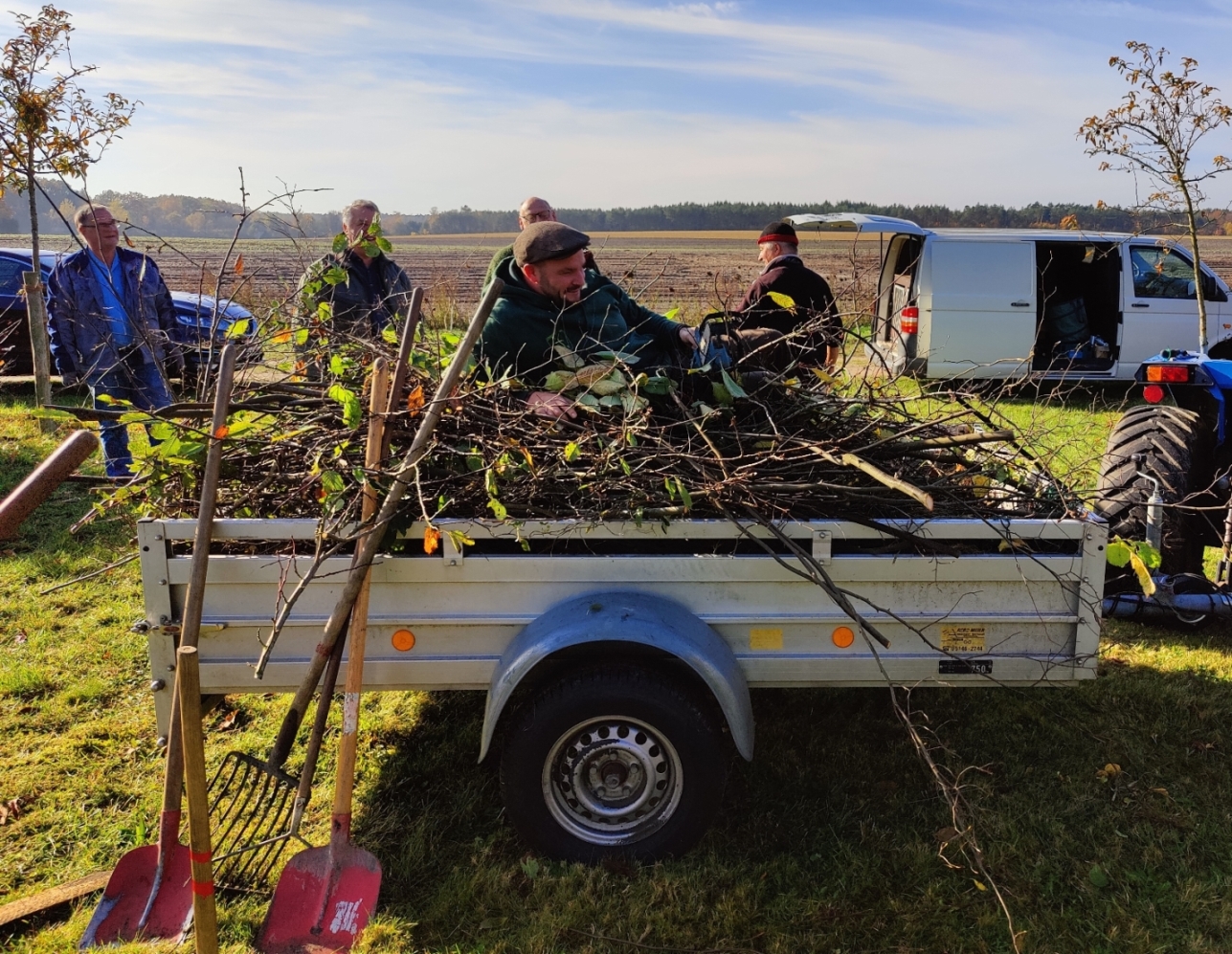 2024 10 26 Herbst Streuobstwiese 14