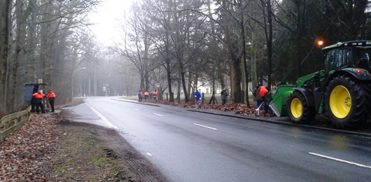 SaubereStadt2015 01
