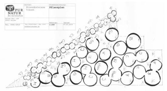 07-Pflanzplan_Streuobstwiese