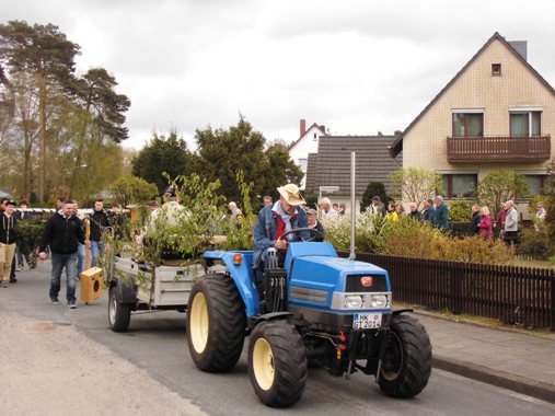Maibaum 2015 01