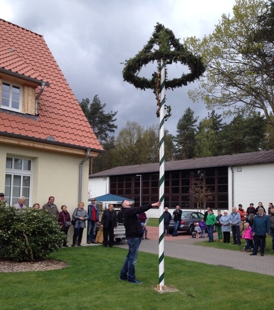 Maibaum 2015 03