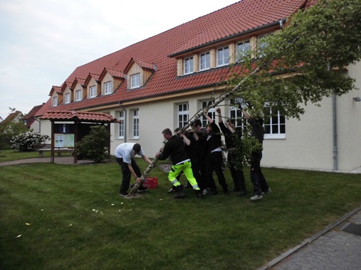 Pfingstbaumpflanzen 2015 029